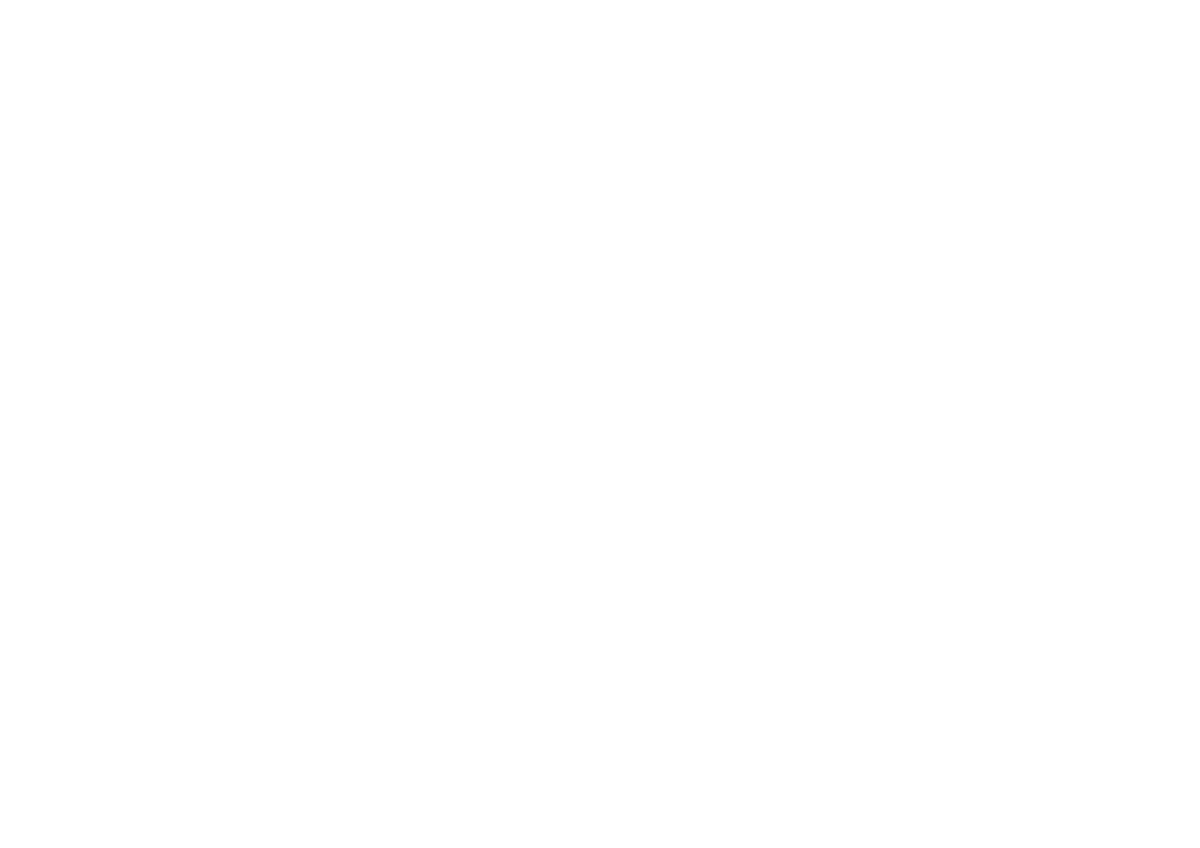 ZL STUDIO
